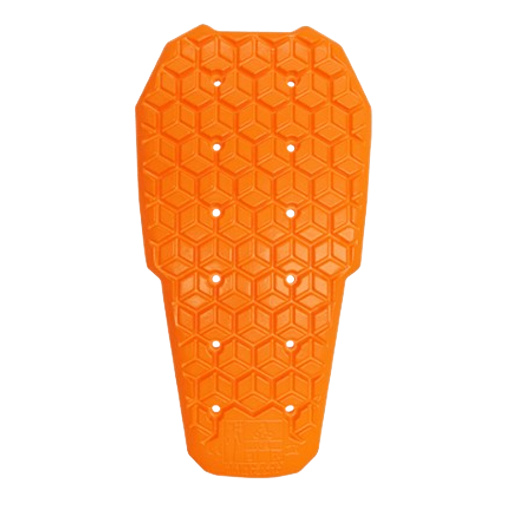 Daisy on the Ohoopee